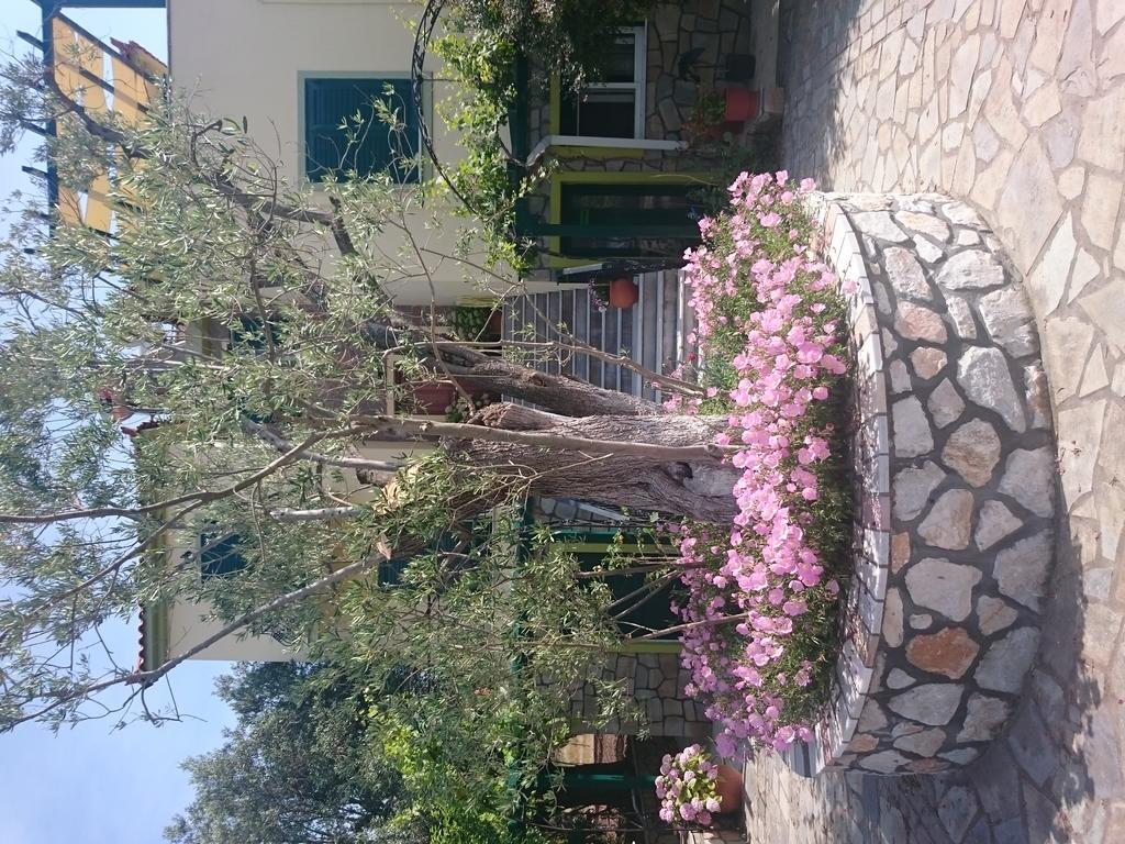 Vasiliki Studios Pétra Kültér fotó